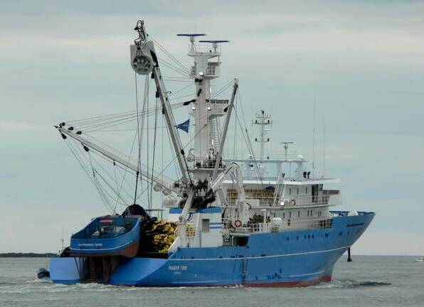 Equipements Défenses de Vedettes Ocean 3 - Skiff sur Thonier Senneur